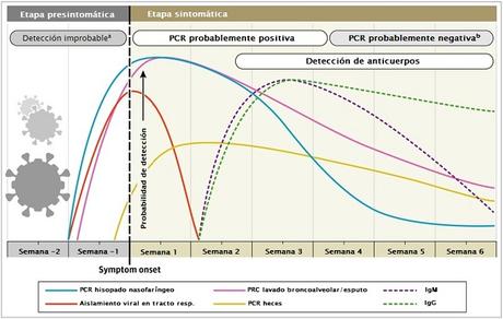 Interpretación de pruebas diagnósticas para SARS-CoV-2