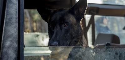 CUERDAS (España, 2019) Suspense