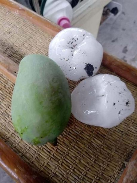 Granizos del tamaño de pelota de béisbol causa destrozos en Cd Valles