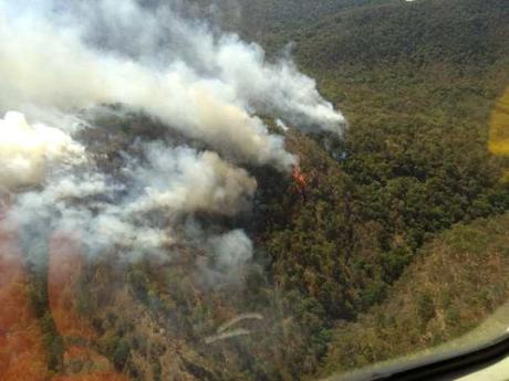 Autoridades combaten incendio forestal en Santa María del Río