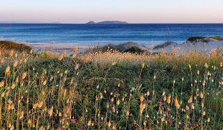 El rescate de la normalidad.    Towards normality.    走向常態