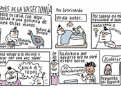 Vasectomía, historieta