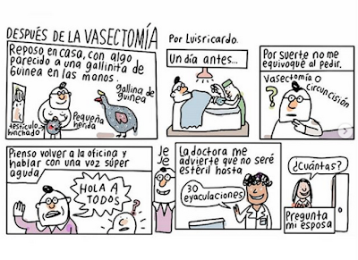 Vasectomía, historieta
