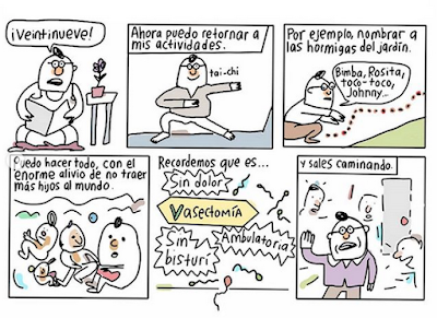 Vasectomía, historieta