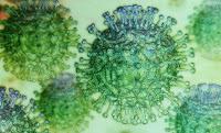 La pérdida de sabor y olor son síntomas del coronavirus Covid19