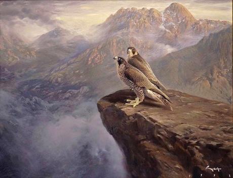 La imagen puede contener: exterior y naturaleza