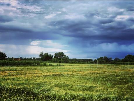 El paisaje se queda El paisaje se queda