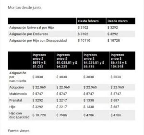 Aumentan a beneficiarios de la Asignación Universal por Hijo (AUH), por embarazo o asignaciones familiares.