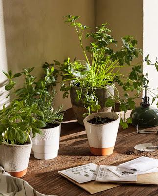 Ideas bonitas para tu balcón o terraza