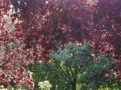 Queremos aportar granito salud centros escolares