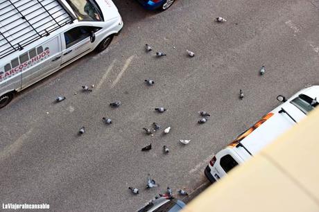 Diario de la cuarentena | Mi calle está siendo colonizada