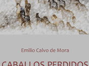 Reseña "Caballos perdidos tormenta"