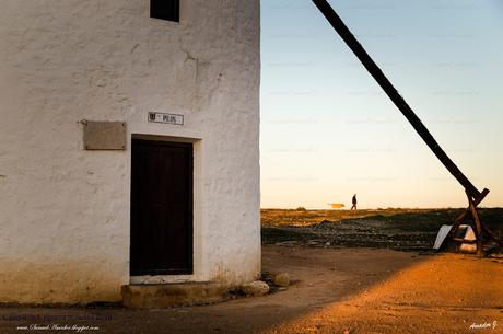 CAMPO DE CRIPTANA (CIUDAD REAL)