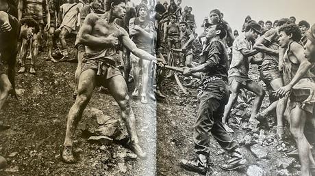 GOLD - Sebastião Salgado