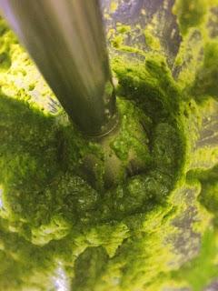 PESTO DE PISTACHOS , ALBAHACA Y RÚCULA