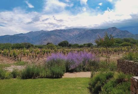 Qué hacer en Cafayate, Salta