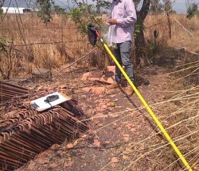 COMBATE SEDAGRO PLAGAS EN COSECHA DE FRUTA