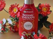 champú “Botanic Therapy Cranberry Argan Oil” para cabello teñido GARNIER