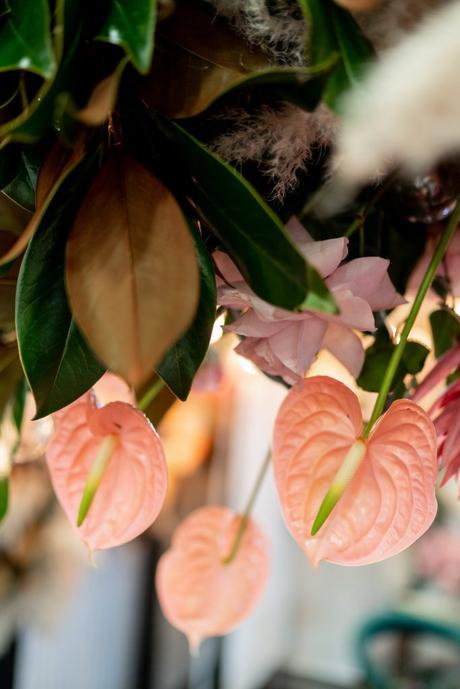Preguntas Importantes para Realizar a Tu Florista Preguntas Importantes para Realizar a Tu Florista