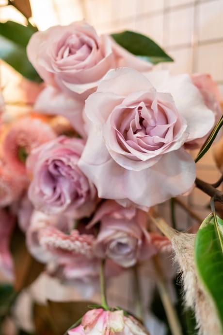 Preguntas Importantes para Realizar a Tu Florista Preguntas Importantes para Realizar a Tu Florista