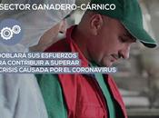 sector ganadero-cárnico, motor económico España rural