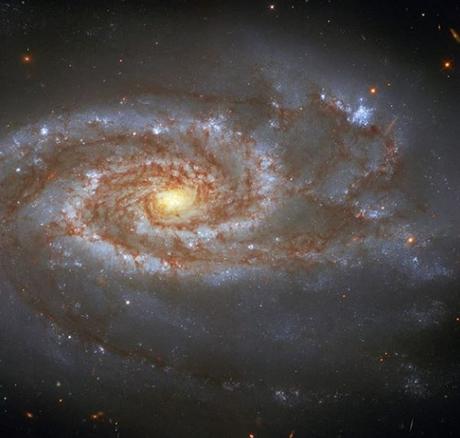 NGC 5861 una curiosa galaxia espiral