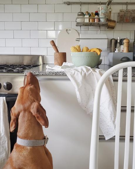 Algunas recetas de un Otoño en cuarentena