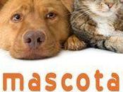 Mascota Planet aumenta presencia online