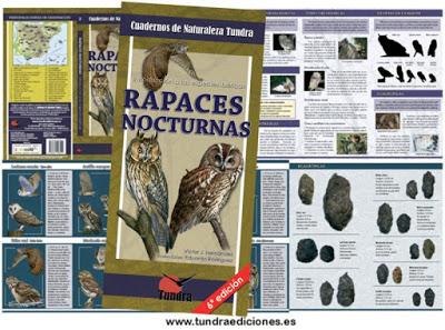 Sexta Edición de RAPACES NOCTURNAS