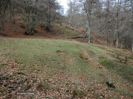 Orlé-Piedrafita-Peña los Tornos-Incós