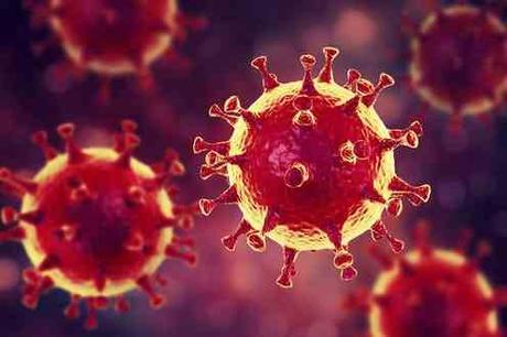 Diferentes tipos de coronavirus estudio