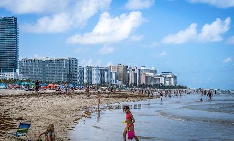 Miami en 2 días más allá de playa y palmeras Miami en 2 días más allá de playa y palmeras