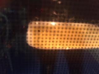 PASTEL DE CARNE CON COSTRA DE MAÍZ