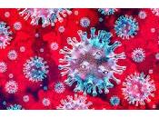 ¿Tenemos cepa coronavirus Covid circulando?