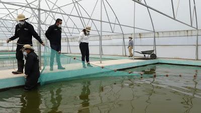 SUPERVISA TITULAR DE SEDAGRO TRABAJO ACUÍCOLA EN ESTA CONTINGENCIA