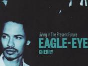 Eagle-Eye Cherry Still Having Fun? (2000)