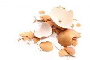 Trampas para caracoles y babosas: 3 métodos efectivos y libre de tóxicos para mantenerlos a raya en el huerto orgánico eliminar caracoles y babosas