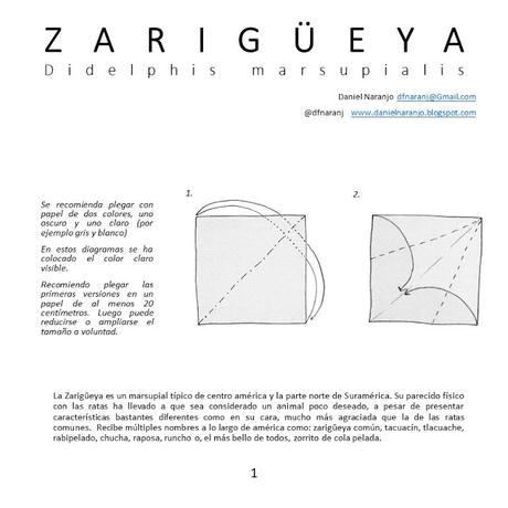 Zarigüeya Zarigüeya