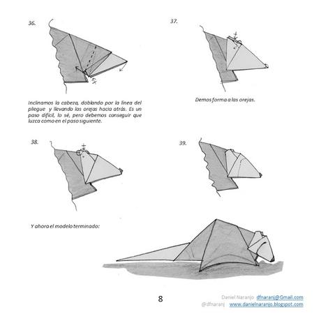 Zarigüeya Zarigüeya