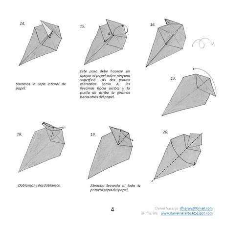 Zarigüeya Zarigüeya