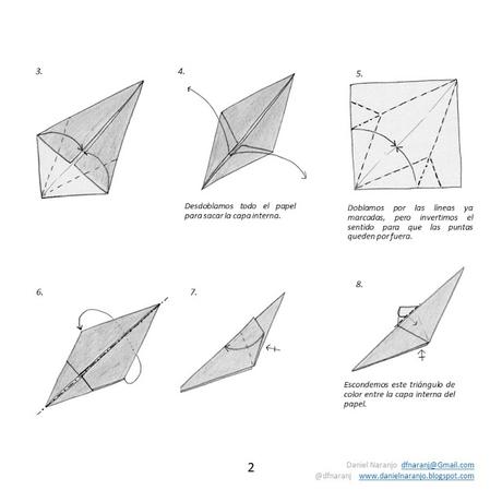 Zarigüeya Zarigüeya