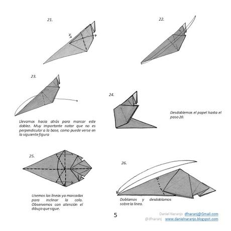 Zarigüeya Zarigüeya