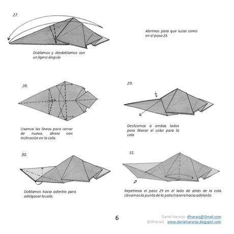 Zarigüeya Zarigüeya