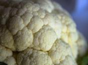 Tortitas coliflor