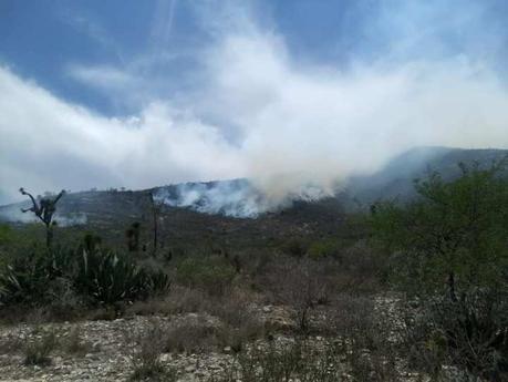 Feroz incendio forestal en Matehuala ha sido difícil de combatir