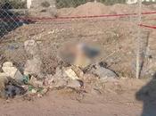 Localizan hombre ejecutado avenida Salk