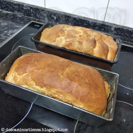 (Pan Casero) Pan de molde con MM (y levadura) de Jeffrey Hamelman