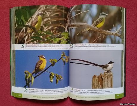 Aves de Iguazú