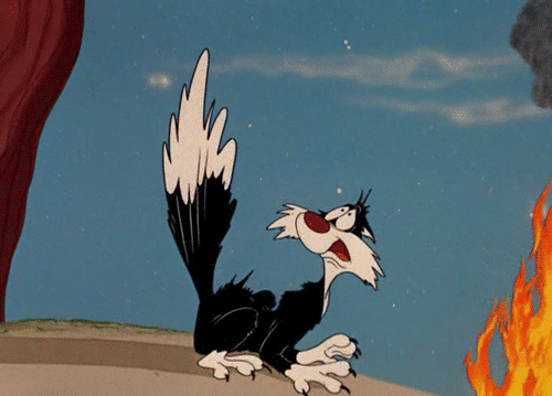 scared sylvester the cat (click on the GIF to see the ...