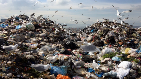 ‘Ahogados en plástico’:el documental de la BBC para el Día Mundial de los Océanos ‘Ahogados en plástico’:el documental de la BBC para el Día Mundial de los Océanos